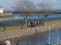 Image of day: Dog being rescued from a river in Galway