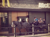 Image of the day: Horse and cart-thru at McDonalds in Dublin