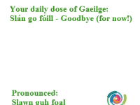 The Irish Term of the Day: Slán go fóill
